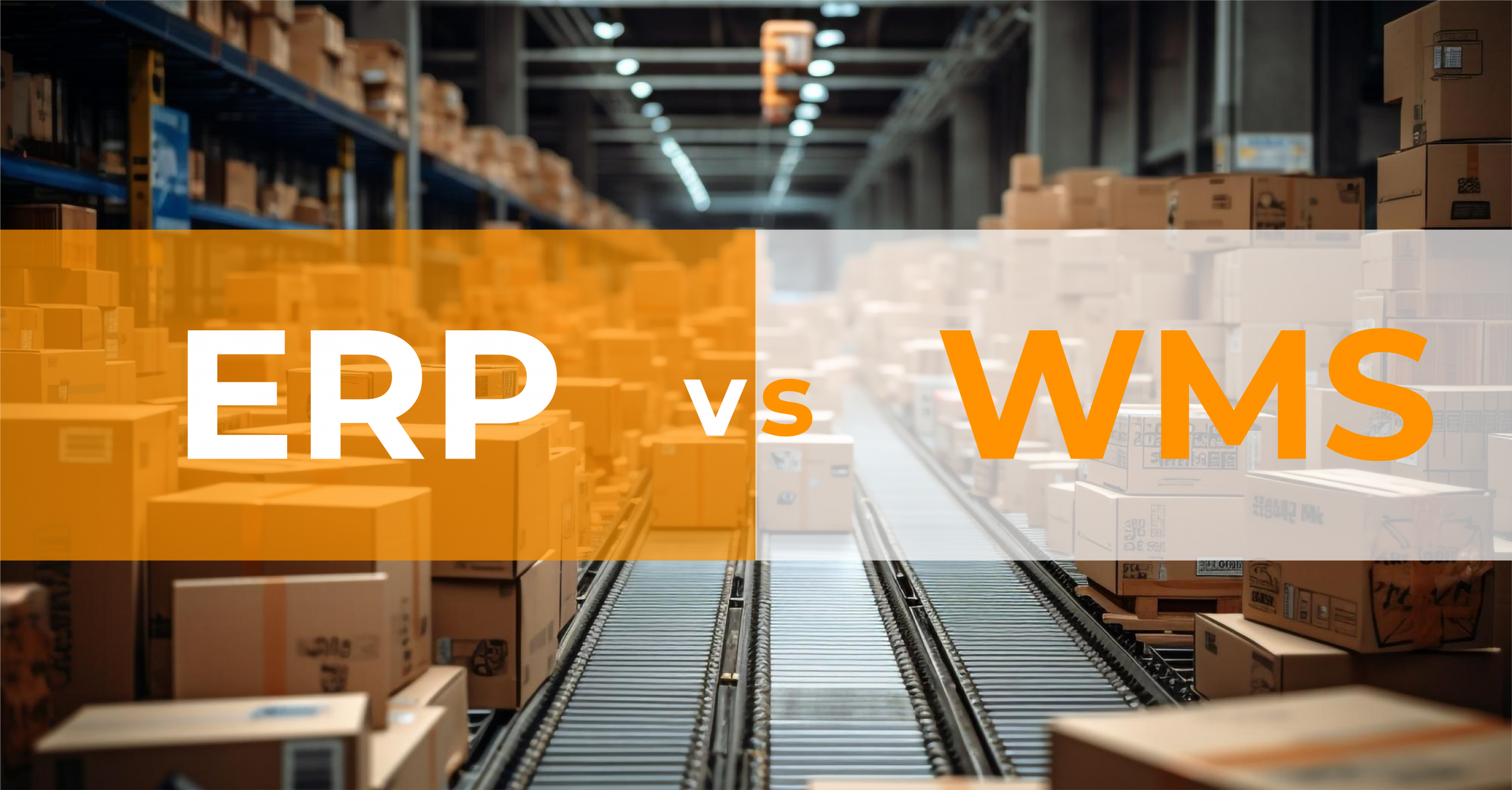 ERP VS WMS